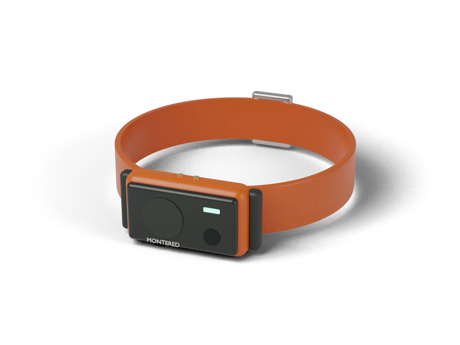 Collar Rastro naranja sobre su correa